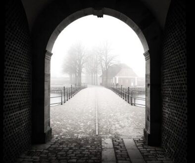 kronborg helsingr denmark castle 8679903